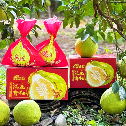 『湖南江永香柚』50年以上树龄，没有“虾线”、轻松剥出完整果肉！清甜无酸，嫩脆多汁，传统皮厚有籽的老品种！ 商品图7