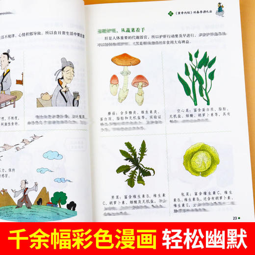 漫画黄帝内经 时令养生 商品图2
