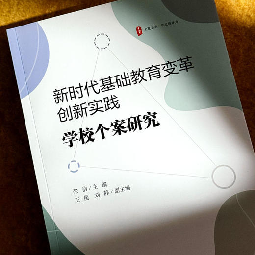 新时代基础教育变革创新实践 学校个案研究 大夏书系 学校领导力 张洁 商品图4