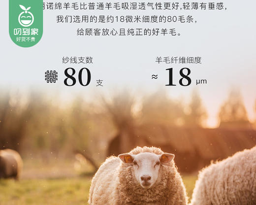 【预售-12月31日配送】SIGGI英伦绵羊毛贝雷帽SI95276（可可咖）/1件 商品图3