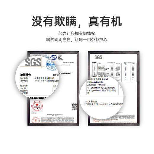 有机熟普  5g*12/盒 商品图4