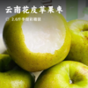 云南花皮苹果枣 | 产自西双版纳 一口嘎嘣脆 细嫩爽口 清新甜美 酥脆化渣 农家肥种植 树上自然成熟 不催熟不打蜡 商品缩略图0