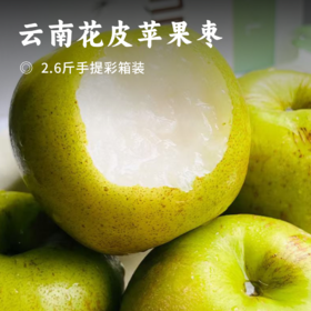 云南花皮苹果枣 | 产自西双版纳 一口嘎嘣脆 细嫩爽口 清新甜美 酥脆化渣 农家肥种植 树上自然成熟 不催熟不打蜡
