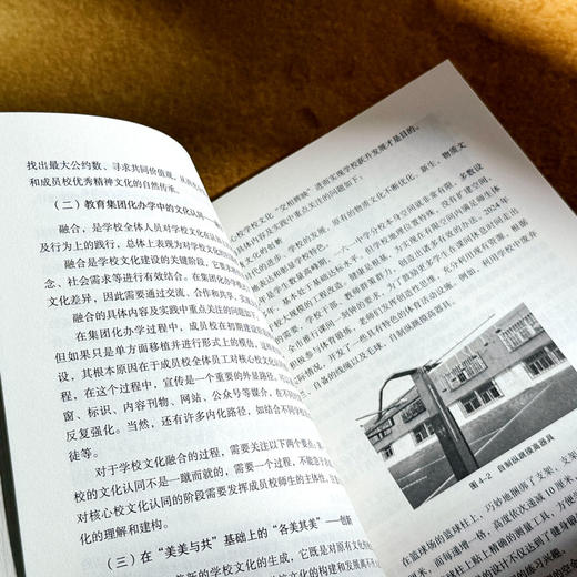 新时代基础教育变革创新实践 学校个案研究 大夏书系 学校领导力 张洁 商品图10