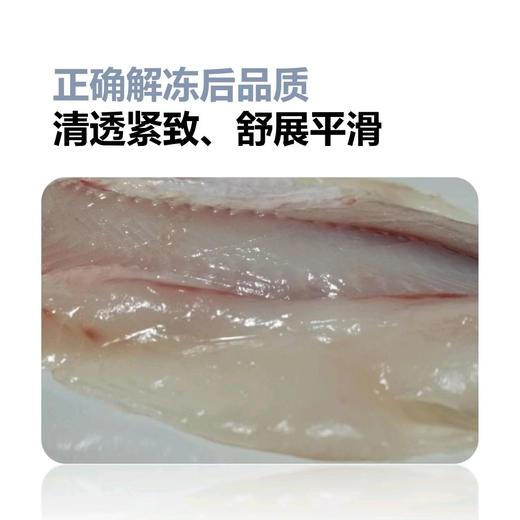 志清农场山泉鲷鱼||三去净鱼   ||基地直发 商品图4