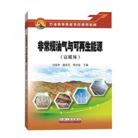 非常规油气与可再生能源  刘成林  石油工业出版社  9787518340583
