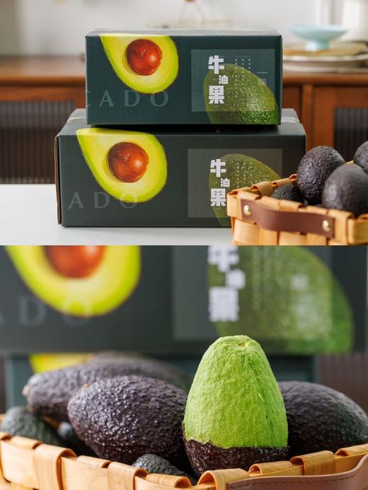 智利｜树熟牛油果 商品图2