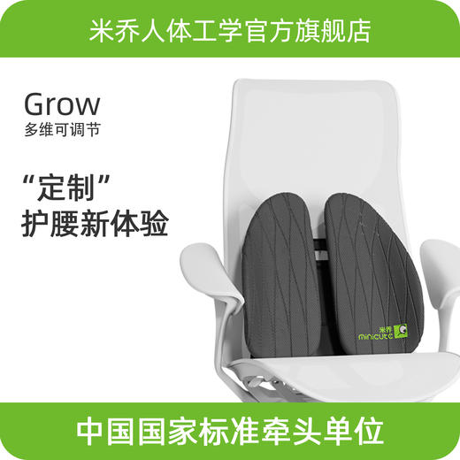 【舒享款】米乔人体工学腰垫护腰靠垫办公室腰靠工位久坐神器座椅靠背垫腰托 商品图0