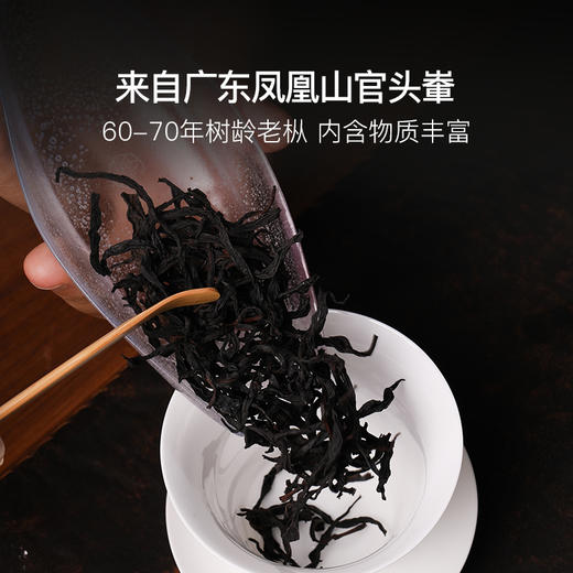 2018年炭焙老枞水仙凤凰单丛非遗传承人出品 商品图3