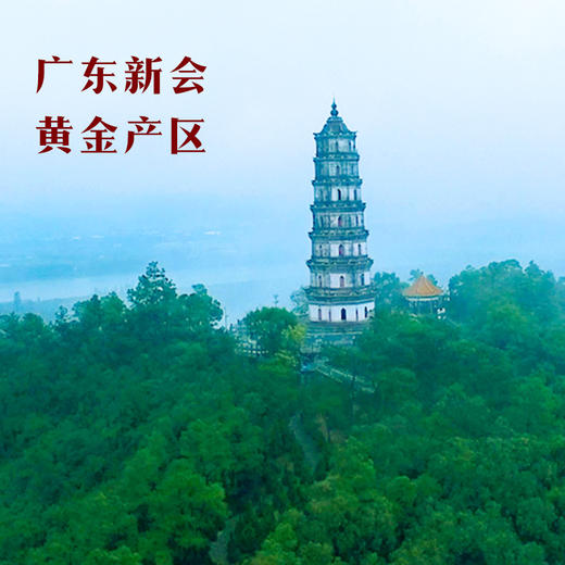 八马茶业｜新品正宗新会陈皮6年陈泡水喝调味茶自己喝官方旗舰店 商品图1