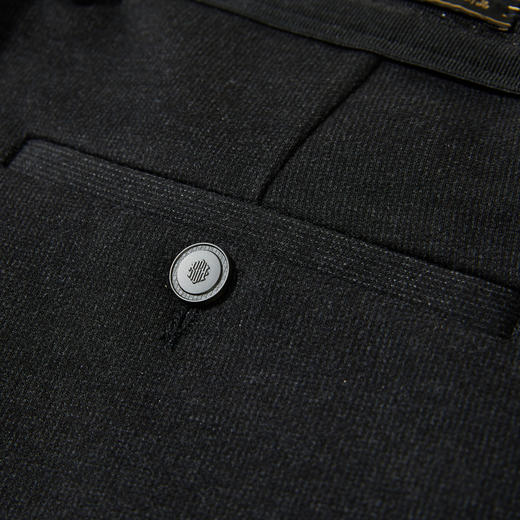 【含绵羊毛】圣得西2025年男款冬季休闲裤职场时尚百搭舒适直筒裤 商品图13