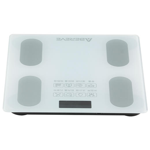 艾贝丽体脂秤ABL-DTZ171【分仓直发，72小时发货，周末节假日不发货】 商品图11