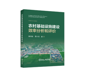 农村基础设施建设效率分析和评价