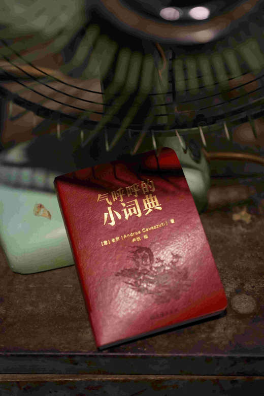 气呼呼的小词典  [意]老安/著  卢悦/绘 北贝  单读，小波，摄影，新现实主义，意大利，世界公民，文学，移民，资本主义，广西师范大学出版社 商品图5