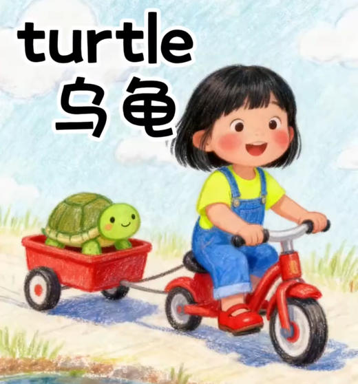 单词《turtle》 商品图0