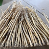 整个党参条  250克 500克  1kg 商品缩略图2