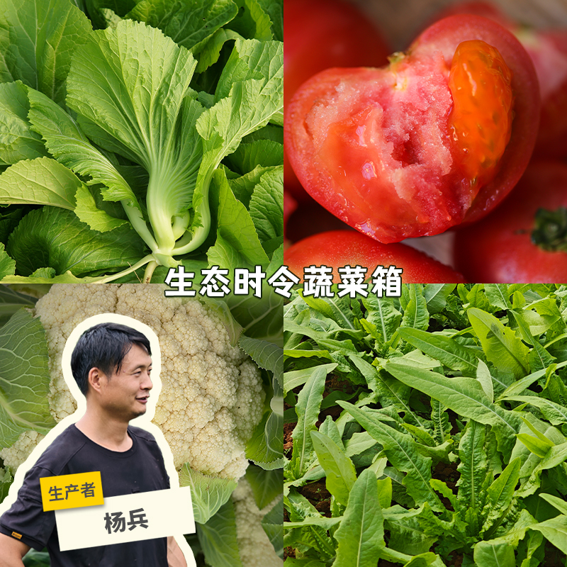 生态时令蔬菜箱（广州发，包邮）| 绿家自产*ecological eafy vegetables | Self-production