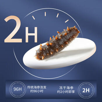 同仁堂子品牌总统牌 大连冻干海参速发辽参26g 16只海参礼盒补品干货 /粮油调味 /南北干货 /干海参 商品图3