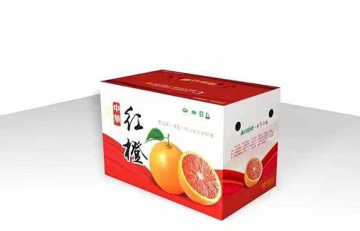 秭归 新溪源 中华红橙 大果70MM—80MM果径 商品图7