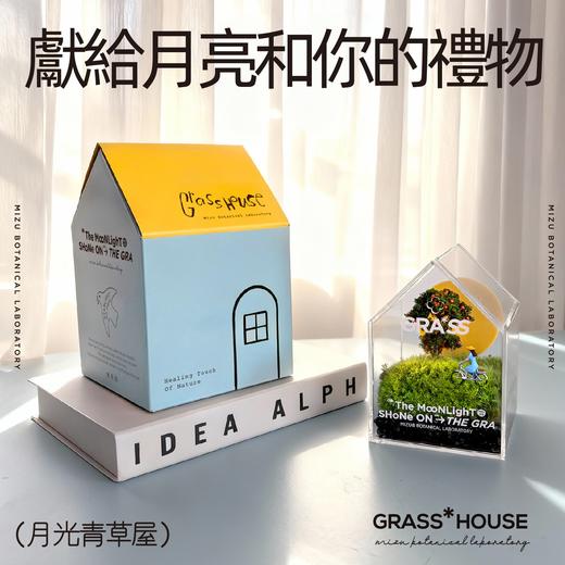 花治新品-月光青草屋 商品图1