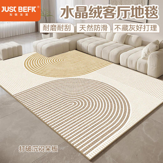 【品牌直发】秋冬水晶绒客厅系列地毯 9色可选yc0108021 商品图0