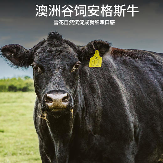 涮火锅必备 火食澳洲谷饲肥牛卷250g/袋 4袋装 源自天然谷饲牧场 高蛋白低脂肪 商品图4