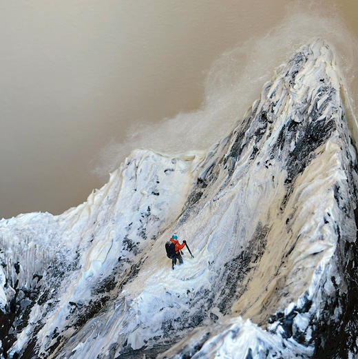 登峰 ｜ 微景观蛋糕 商品图5