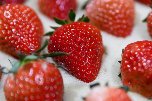 【觅趣小铺·凉山红颜九九草莓-空运】高海拔草莓，零农残承诺，又香又甜，口感十足~ 商品图10