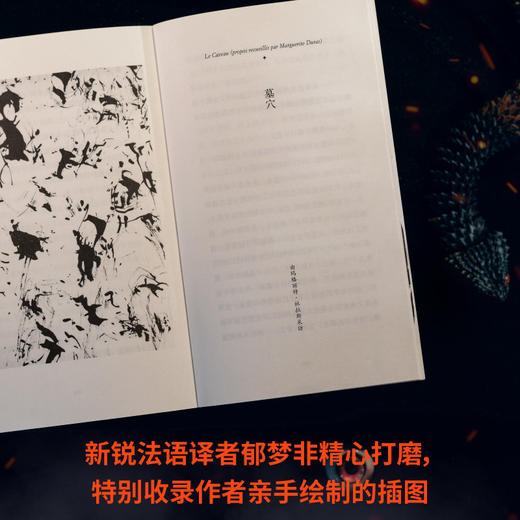 恐慌集 | 写后即焚的孤独女作家，仅存一部的神秘故事集。 商品图4