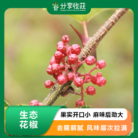 生态花椒 | 果实开口小 麻味后劲大 | 公平贸易 * Ecology pepper