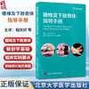 腰椎及下肢查体指导手册 程庆好 易端 杨明媛 主译 系统阐述腰椎及下肢查体的解剖学基础及临床实践要点 北京大学医学出版社 商品缩略图0