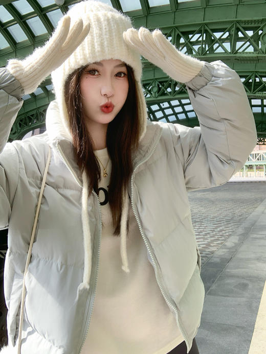 <曾小咸推荐>现货秒杀 ！微信超特价！韩系立领羽绒服 日常509.99 立减210 秒杀299.99！！ 商品图13