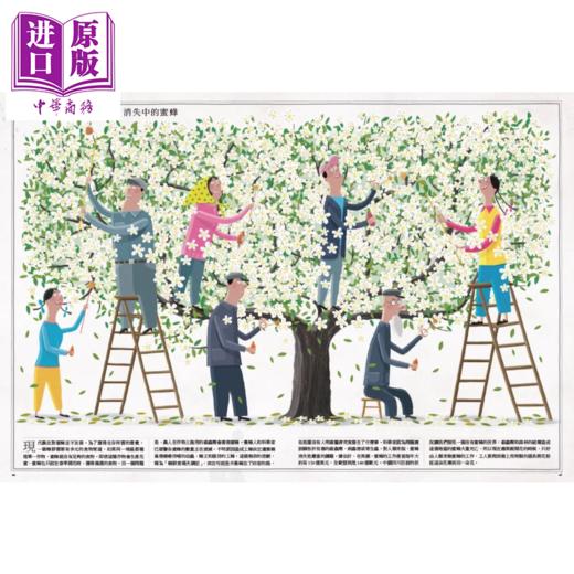 【中商原版】蜜蜂	沃依切 葛莱果斯基	小天地出版	港台原版 商品图4