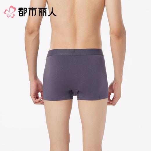 都市丽人内裤红品男士内裤40S棉拉架内裤棉平角内裤明筋FKCG0801 商品图2