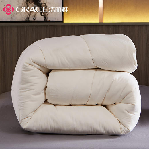 洁丽雅丨丝柔水洗被 JLY-YHD011 商品图3