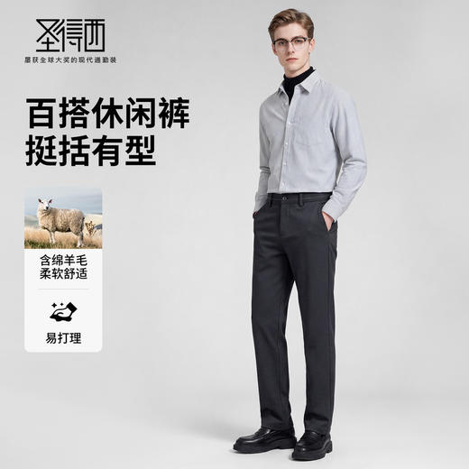 【含绵羊毛】圣得西2025年男款冬季休闲裤职场时尚百搭舒适直筒裤 商品图3