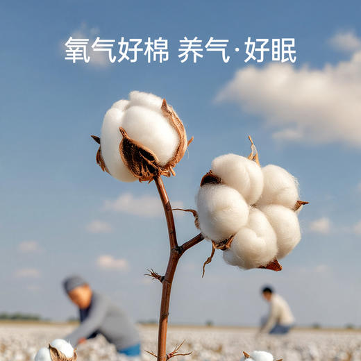 洁丽雅四件套纯棉拉链款全棉被套枕套被罩可爱卡通风床单被套双人 商品图2