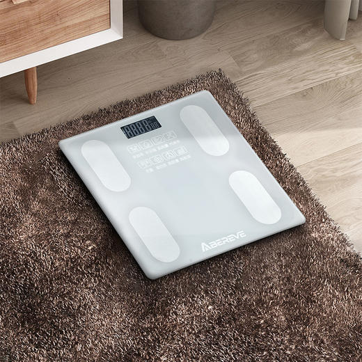 艾贝丽体脂秤ABL-DTZ171【分仓直发，72小时发货，周末节假日不发货】 商品图0