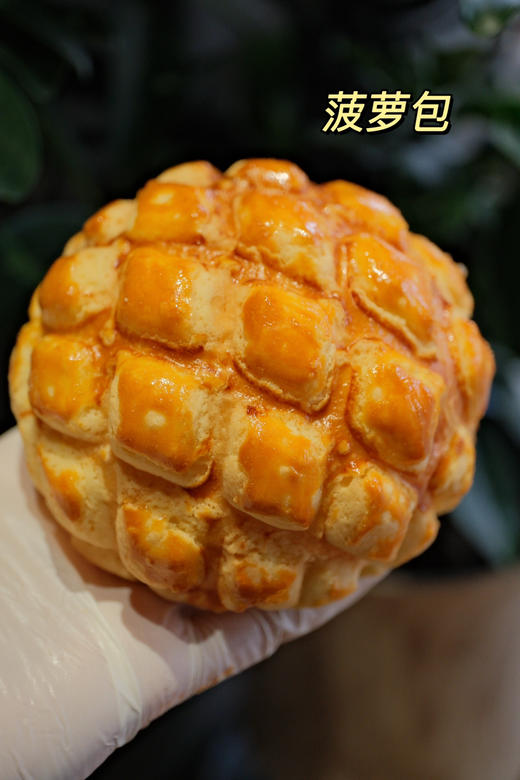 现烤面包—菠萝包 商品图1