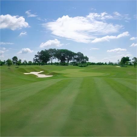 越南·哈默尼高尔夫公园 Harmonie Golf Park  | 胡志明高尔夫球场 | 越南高尔夫球场俱乐部 | 东南亚 商品图0