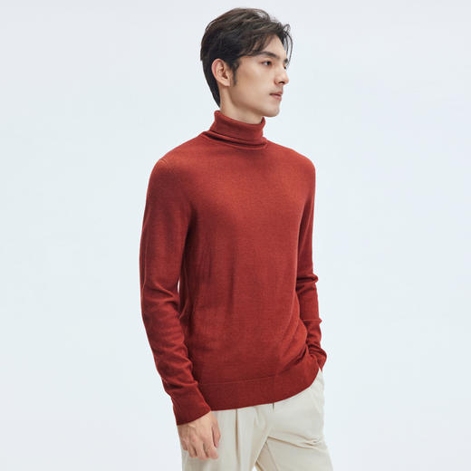 【门店同款&100%绵羊毛】圣得西2025年冬季男士针织衫高领毛衫 商品图3