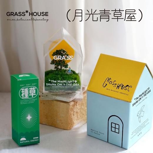 花治新品-月光青草屋 商品图2