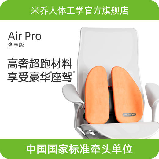 【限量款】米乔人体工学腰垫-奢享版 商品图0