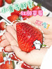 昌平草莓 商品缩略图0