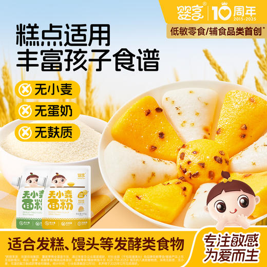 婴享糕点面粉无小麦无麸质低筋口感烘焙送婴幼儿敏宝辅食电子食谱 商品图0