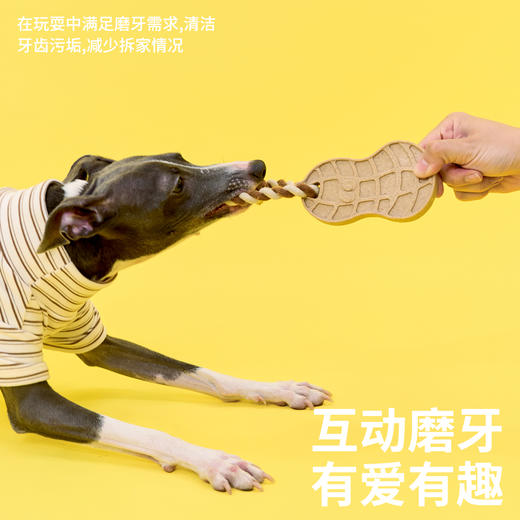 zeze花生洁齿咬胶玩具（包邮）-B 商品图3