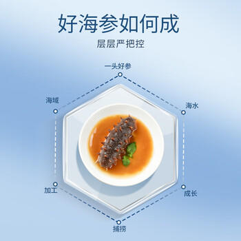 同仁堂子品牌总统牌 大连冻干海参速发辽参26g 16只海参礼盒补品干货 /粮油调味 /南北干货 /干海参 商品图1