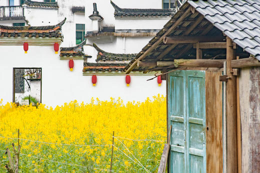 3月24日【江西】婺源·春色油菜花、景德镇、黄山4/5/8天 Y 商品图10