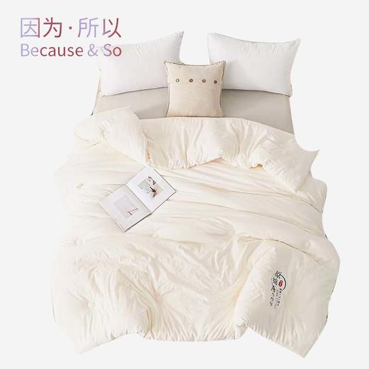 "因为+所以 / Because & So   A类原棉大豆四季被（6斤）" 商品图0