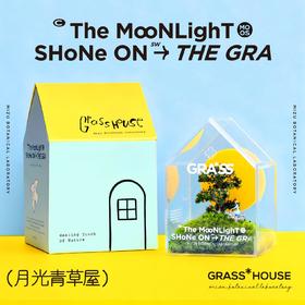 花治新品-月光青草屋